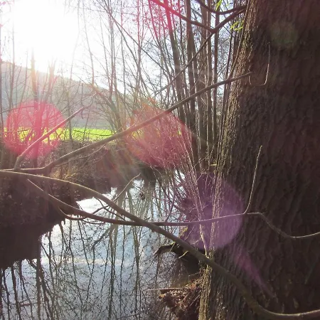 Brehmbachgrund Appartement