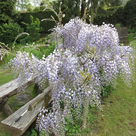Brehmbachgrund * Tauberbischofsheim
